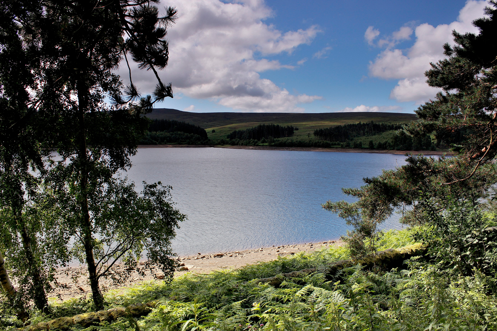 An image depicting the trail Cats Clough Head and Outer Edge and its surrounding area.