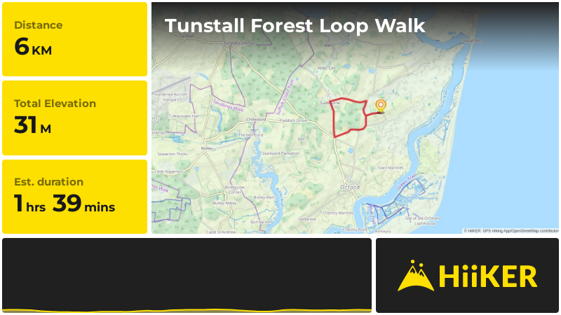 Tunstall Forest Loop Walk | Suffolk | England
