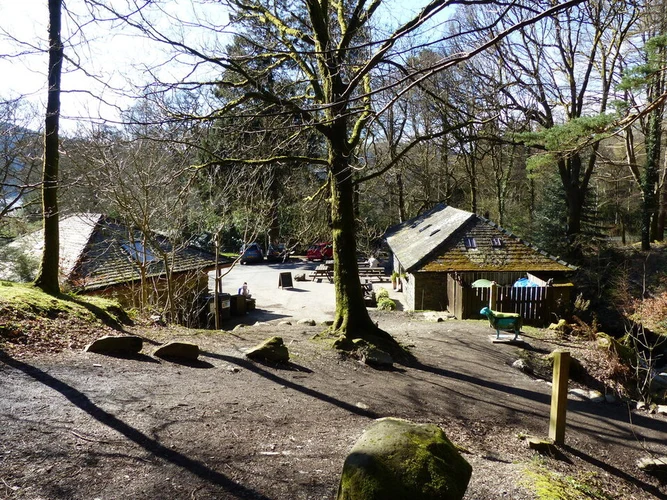 Dodd Wood Loop