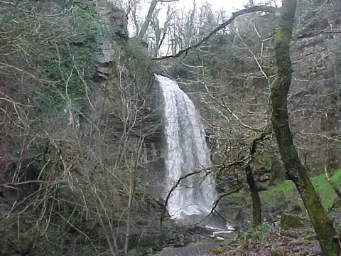 Melincourt Falls Walk