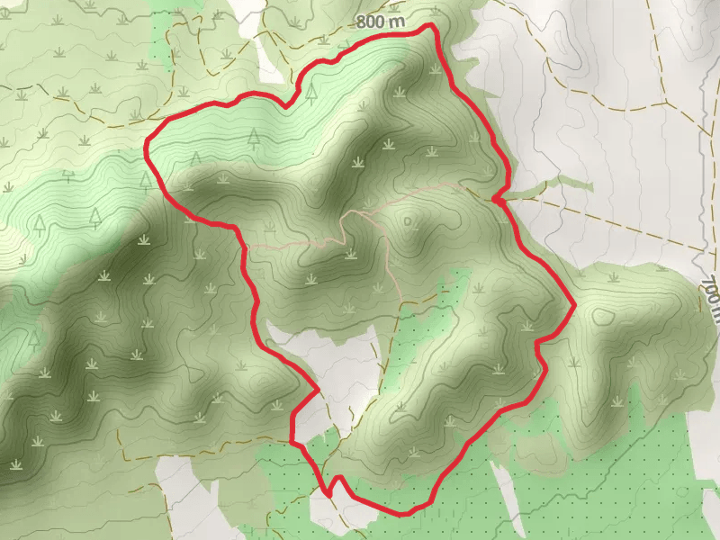 Sendero del Madroño and Florida