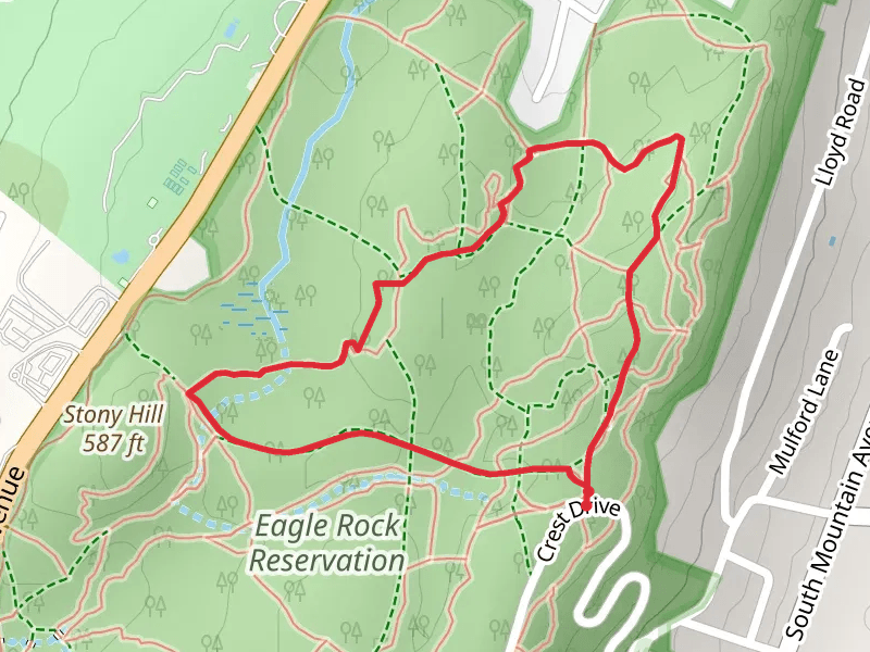 Blue Trail and Lenape Loop Trail