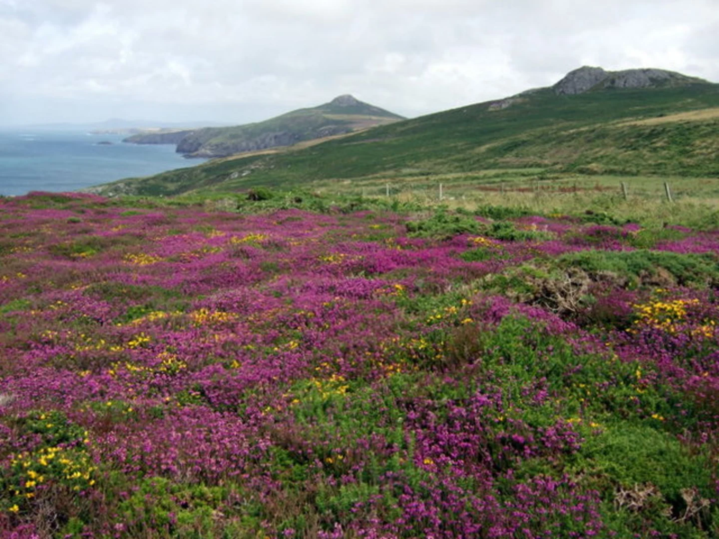 An image depicting the trail Penberry - Treleddyd and its surrounding area.