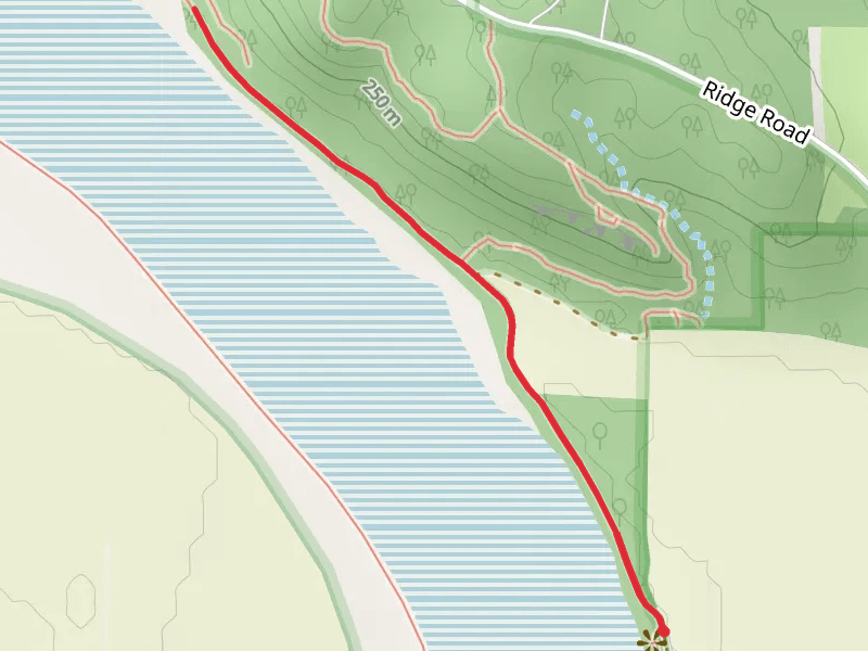 Cooley Lake