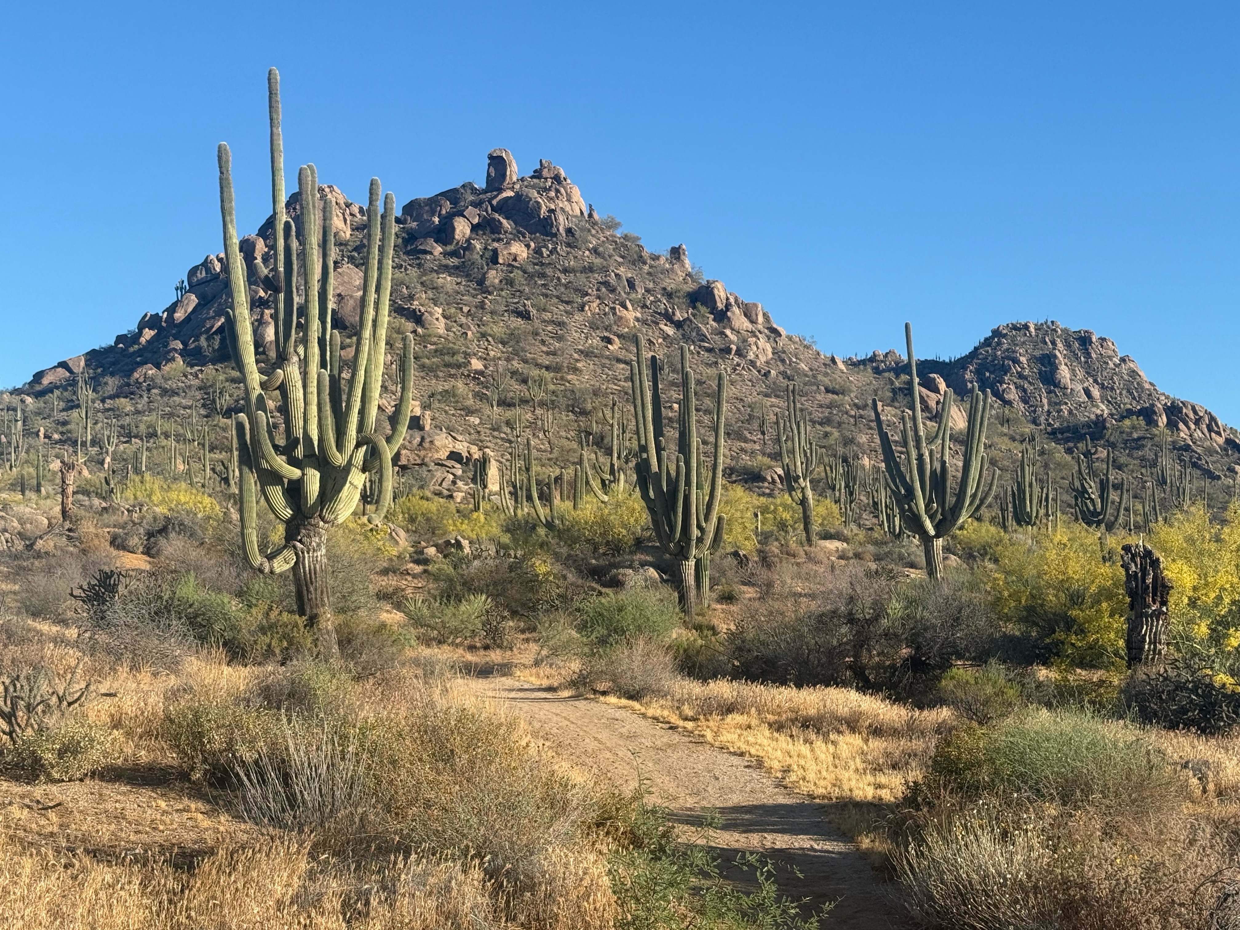A map preview of the recording Cholla Mountain and Granite Mountain Loop.
