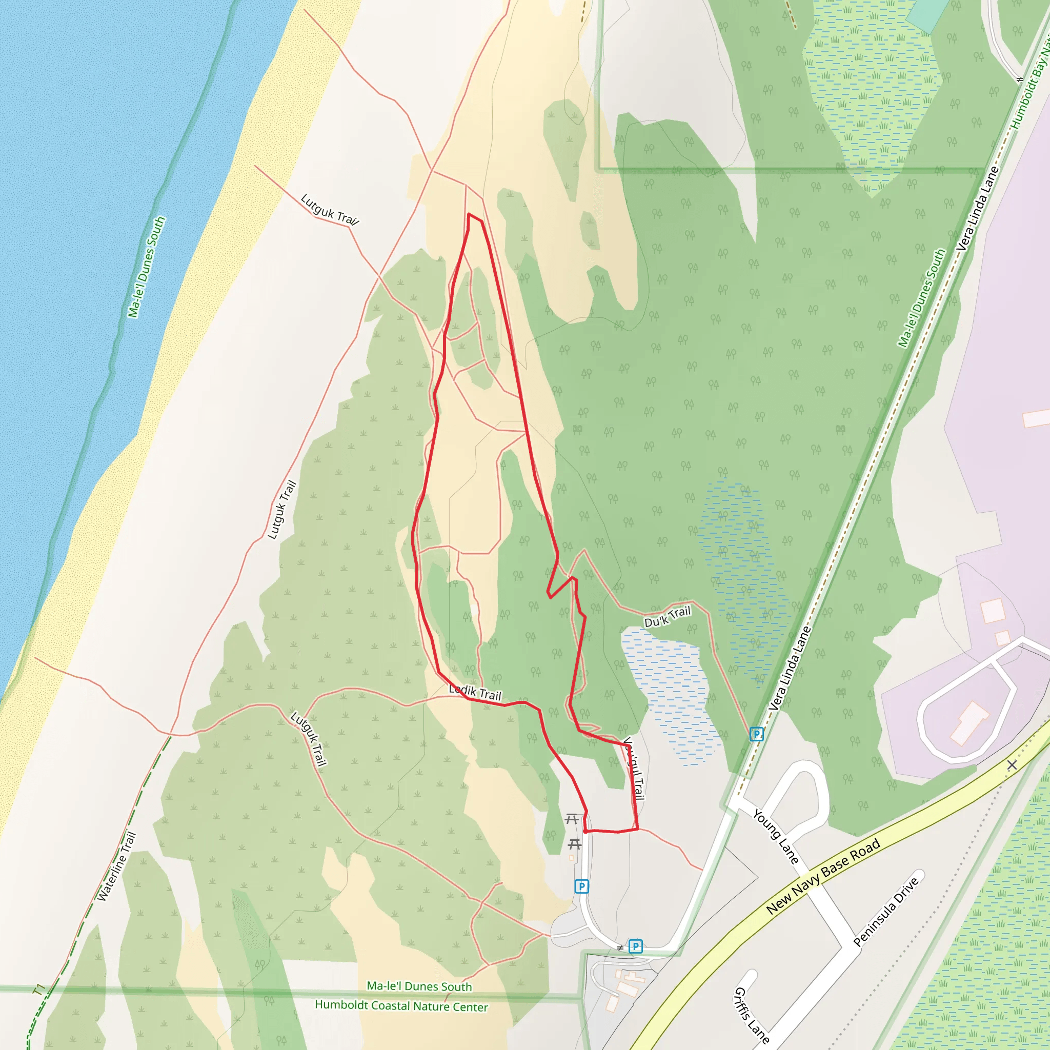 Ledik Loop Trail mobile static map