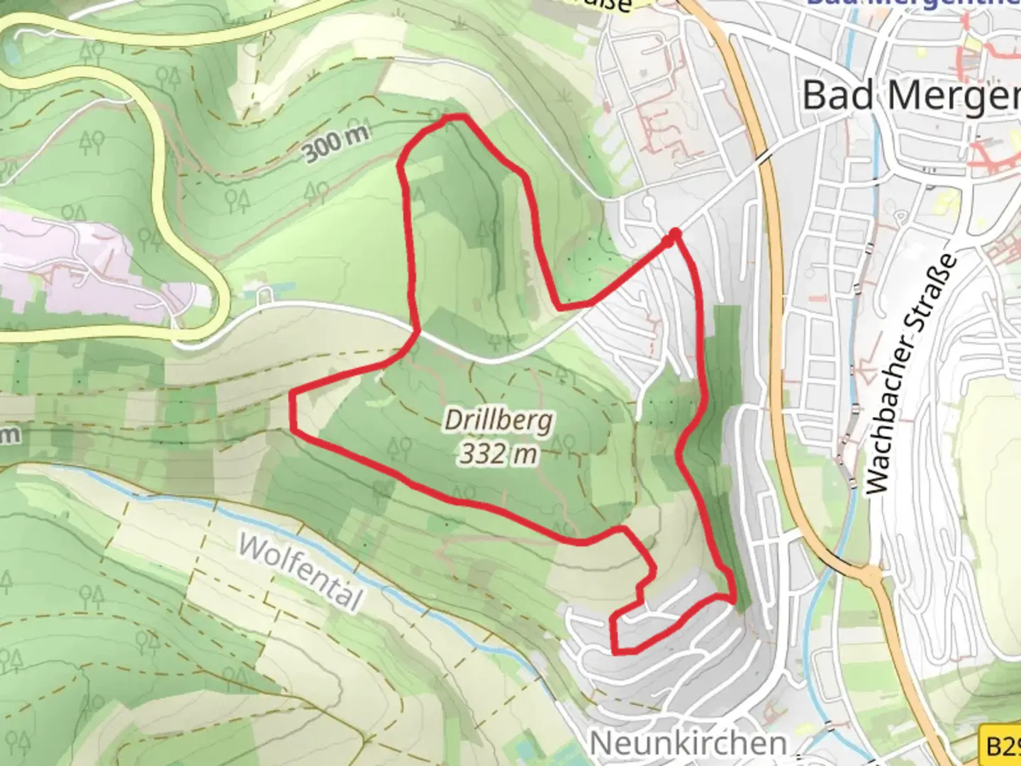 An image depicting the trail Taubertal and Siebenwindenweg Loop and its surrounding area.