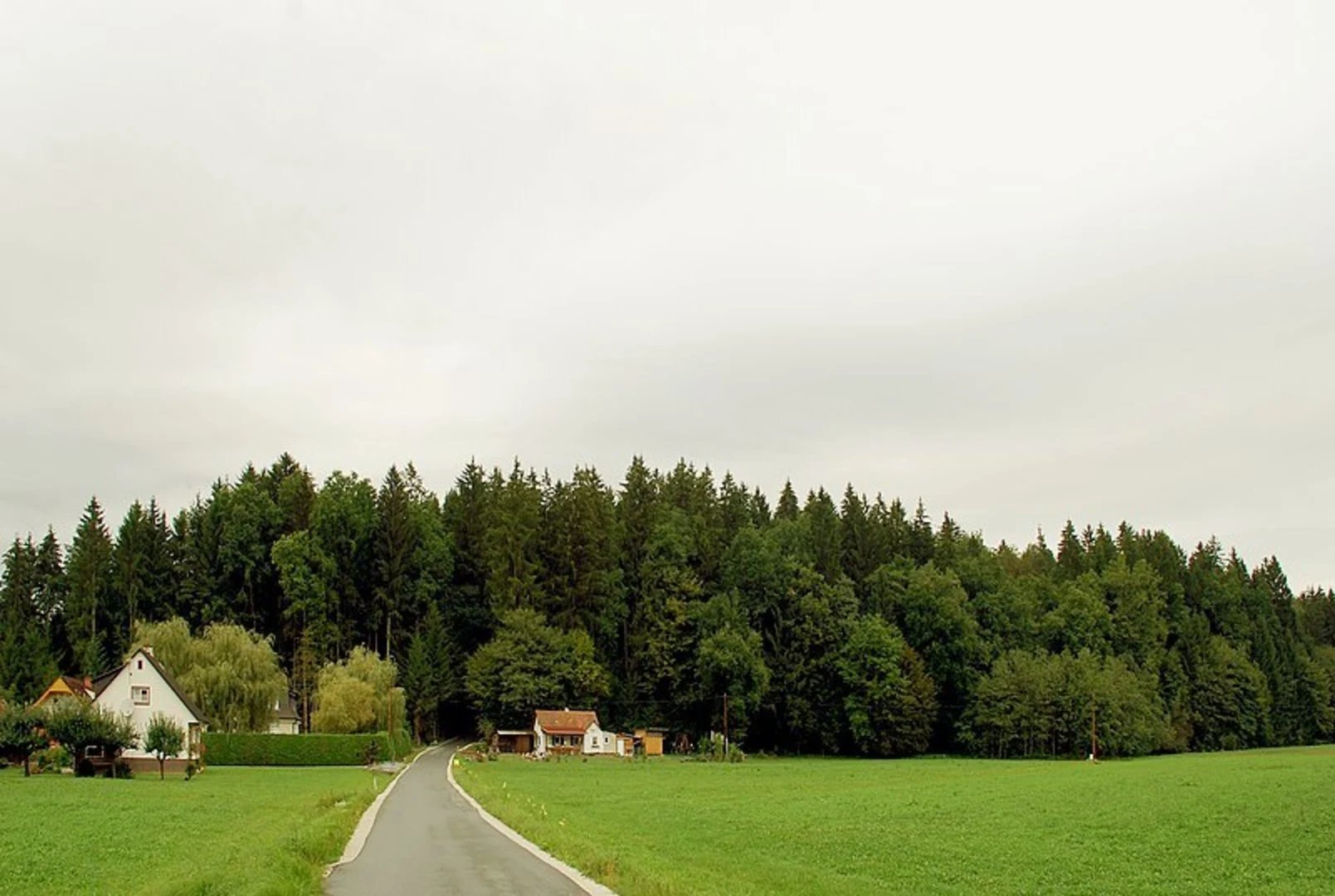 An image depicting the trail Zirknitz - Pirkhof Loop and its surrounding area.