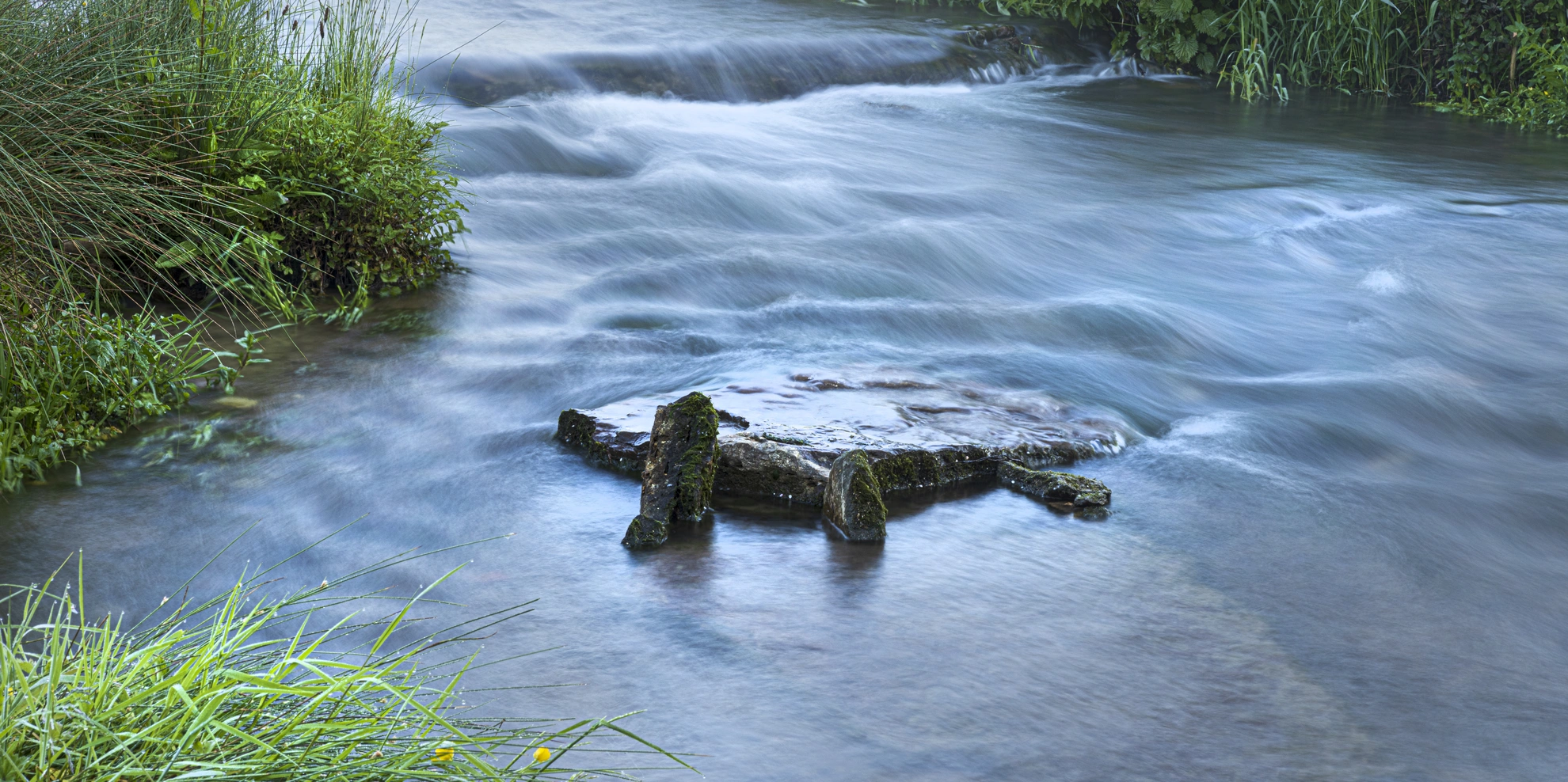 An image depicting the trail Palladian Way and its surrounding area.