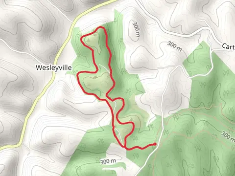 Ridge Top Loop Trail