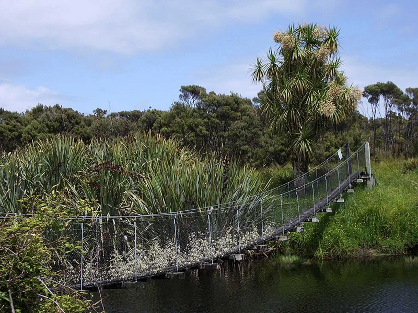 An image depicting the trail Historic Haast to Paringa Cattle Track and its surrounding area.