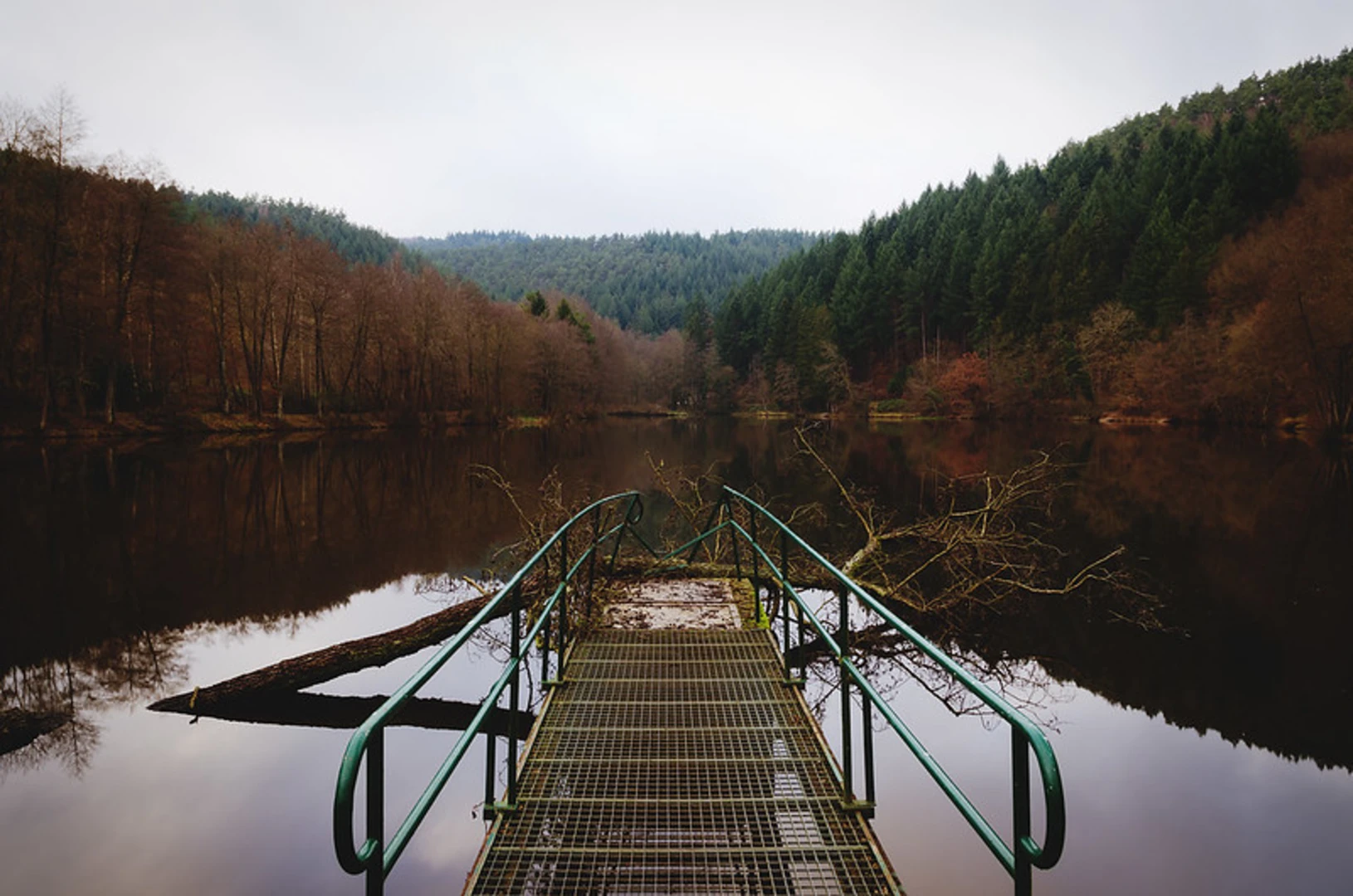 An image depicting the trail Kaiserhammer Weiher via Quintbach and its surrounding area.
