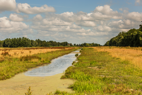 Buiten Wester and Landgoed Ursula Loop