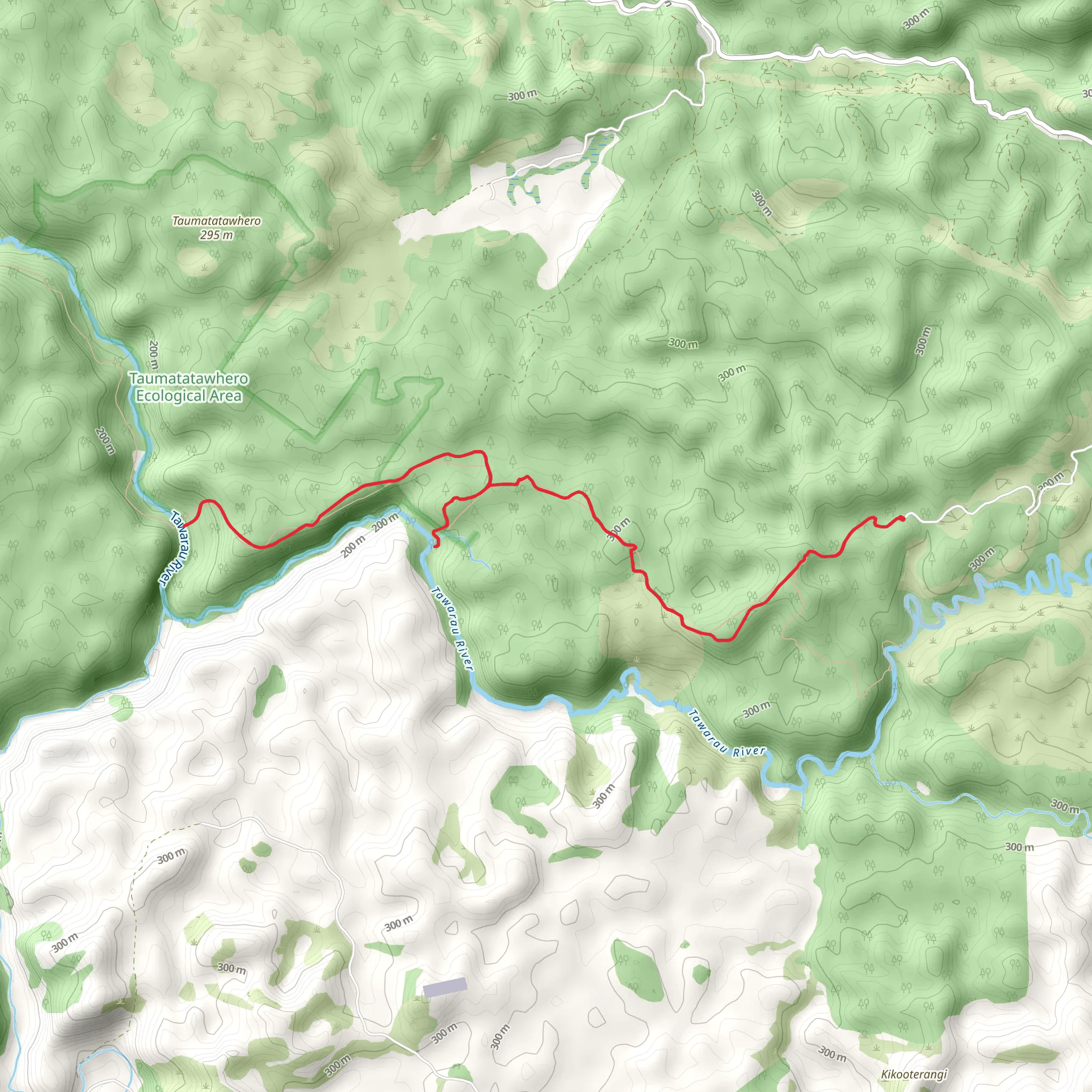 Tawarau Forest Tramping Track - Double Falls Track mobile static map