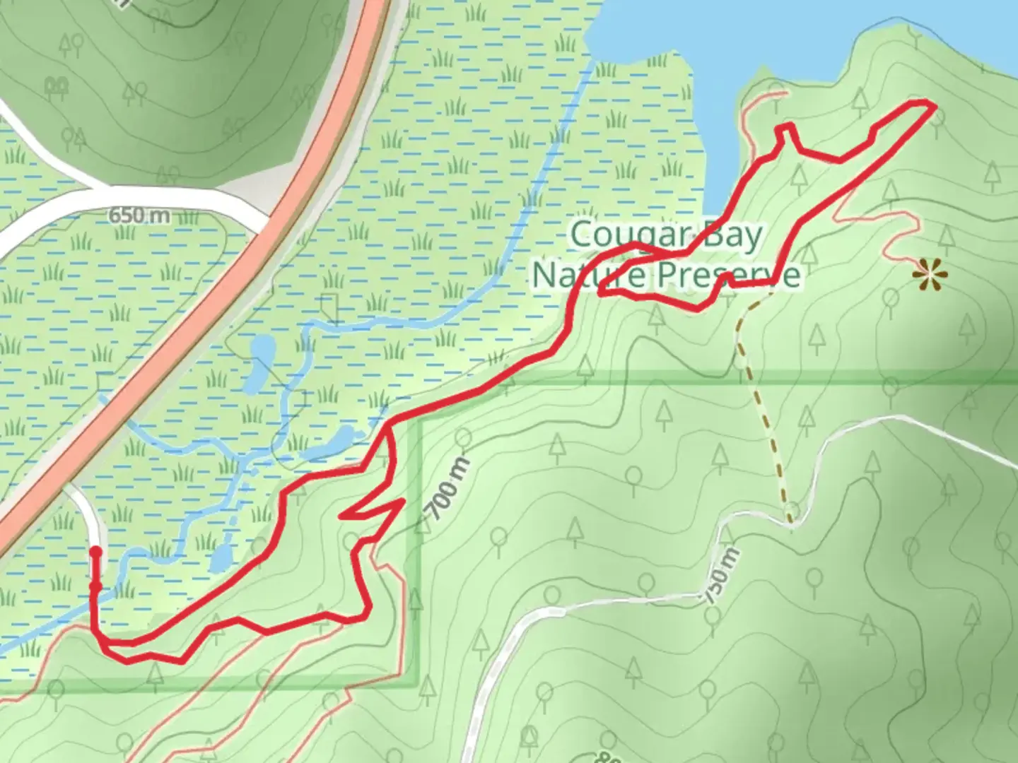 An image depicting the trail Loop beside Cougar Creek - South McAvoy Road and its surrounding area.