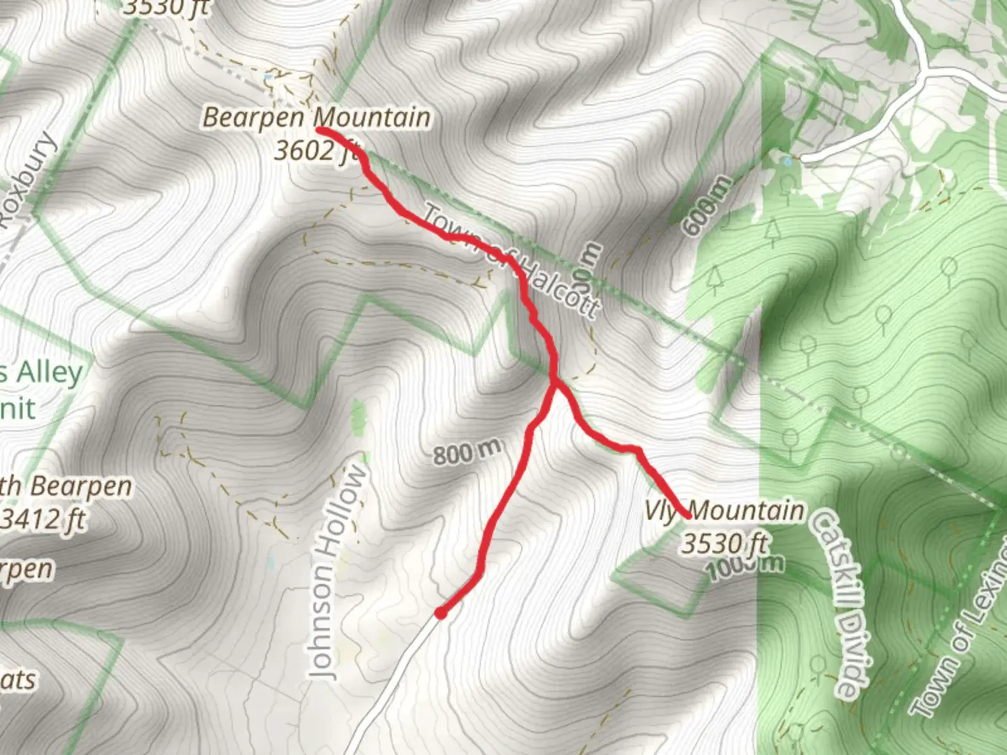 An image depicting the trail Vly Mountain and Bearpen Mountain Trail and its surrounding area.