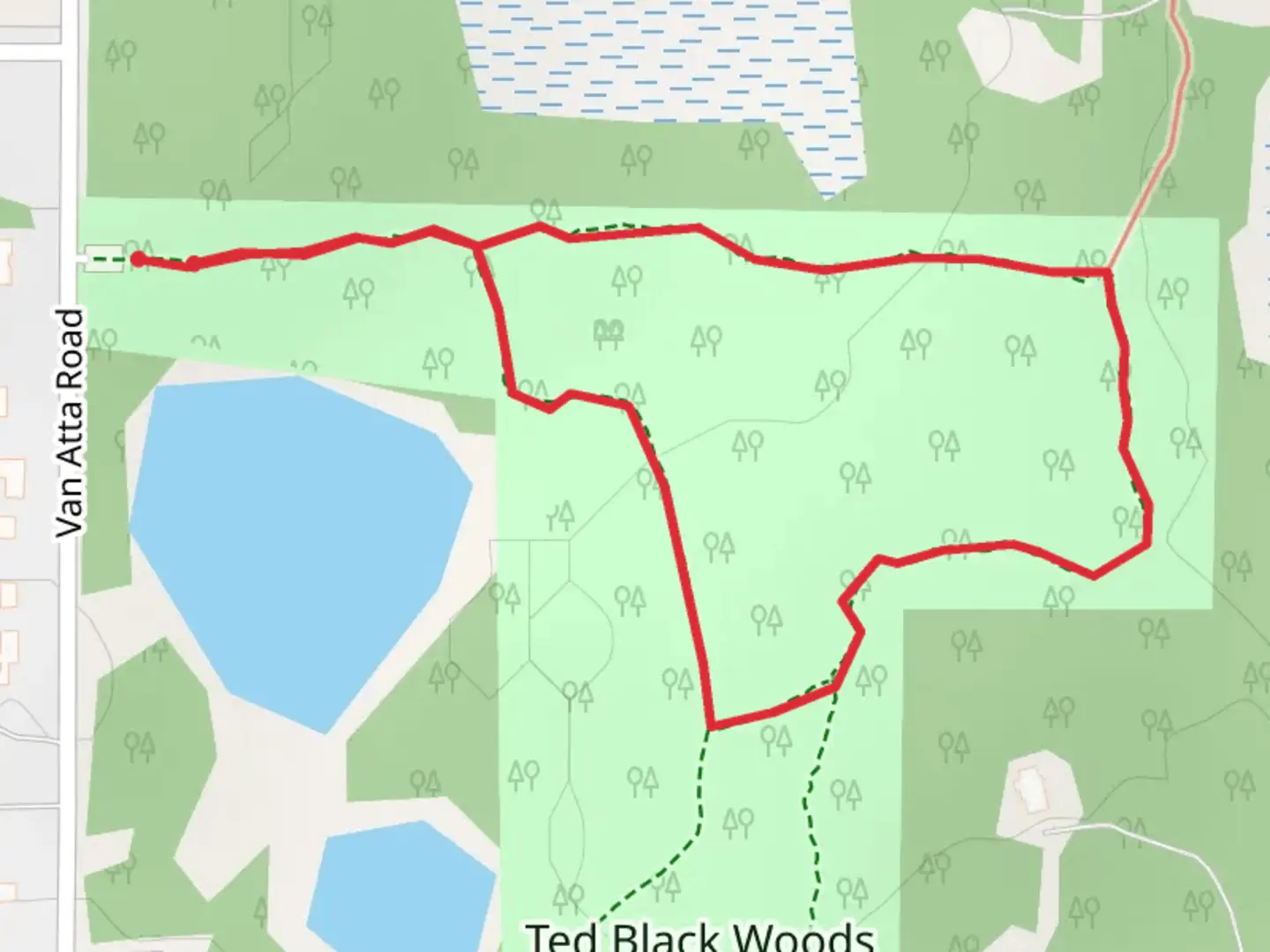 An image depicting the trail Ted Black Woods Loop Walk and its surrounding area.