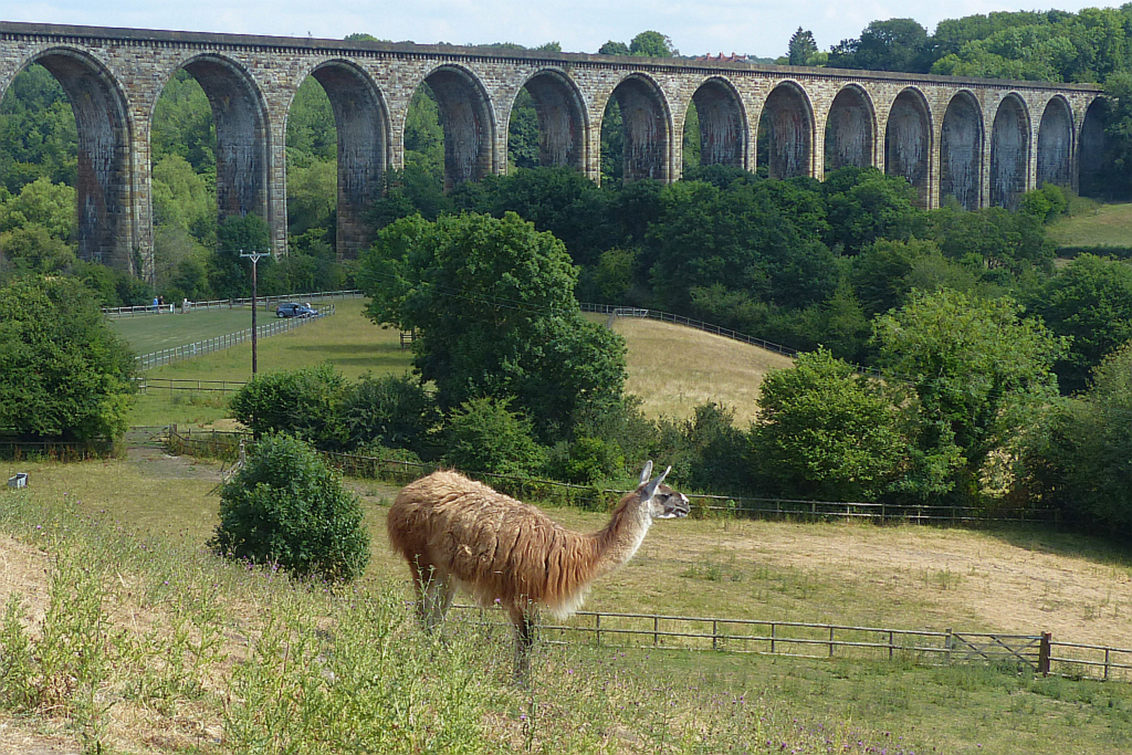 An image depicting the trail Ty Mawr Country Park Loop and its surrounding area.