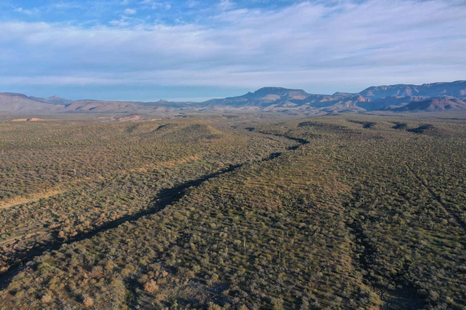 An image depicting the trail Reynolds Creek Trail and its surrounding area.