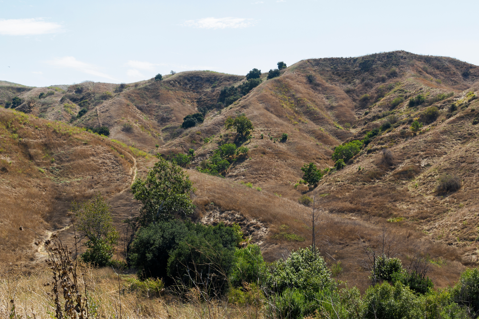 An image depicting the trail Telegraph Creek Loop via South Ridge Trail and its surrounding area.