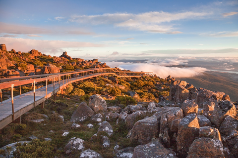 The Springs to the Pinnacle Track