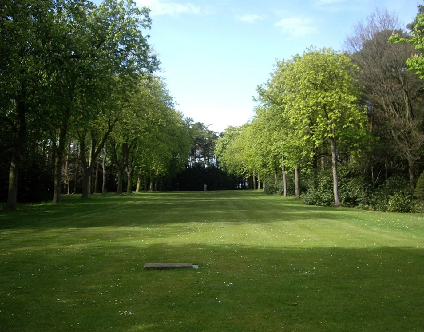 An image depicting the trail Dark Bank and Crathorne Park Loop and its surrounding area.