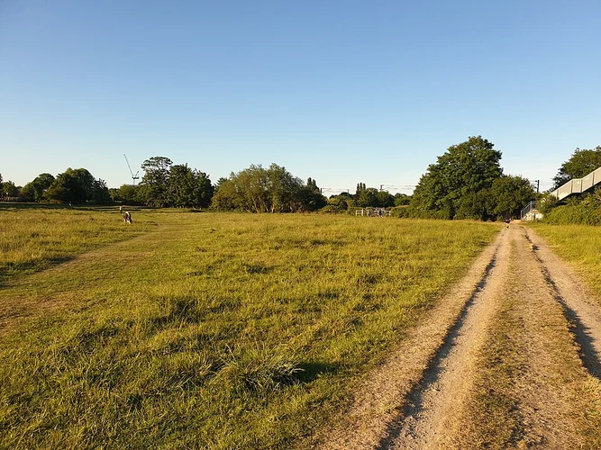 Cambridge to Milton Country Park Walk