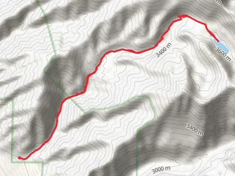 Cherry Lake Trail