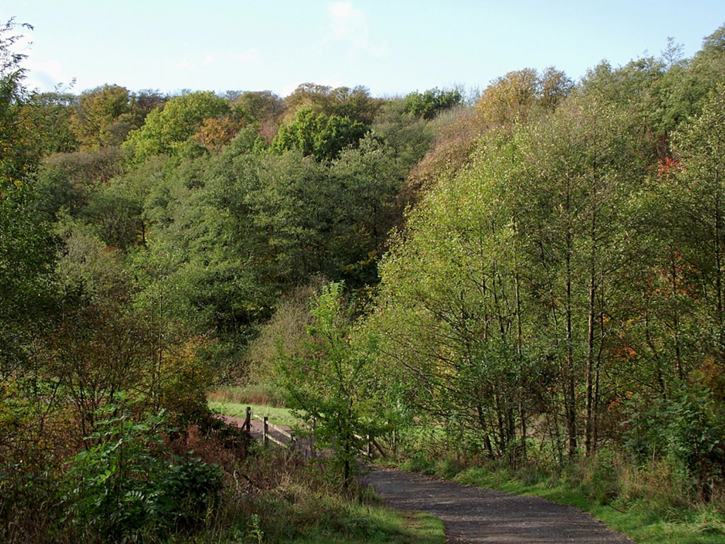 An image depicting the trail Baggeridge Country Park Loop and its surrounding area.