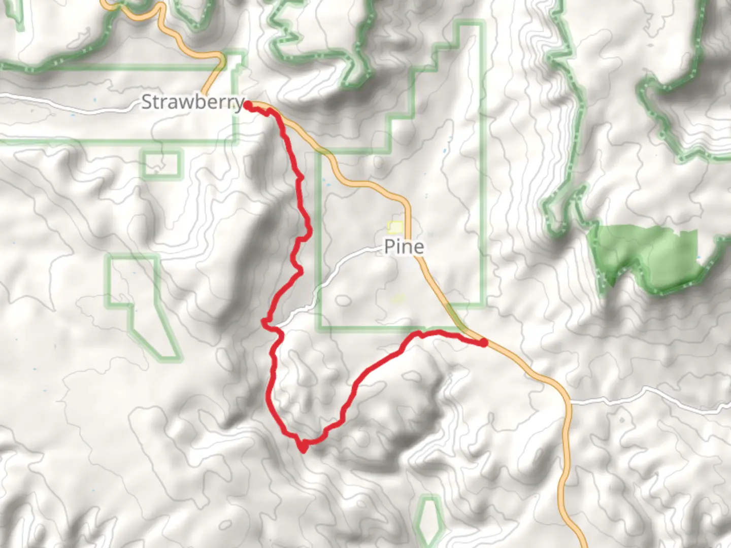 An image depicting the trail Pine Strawberry and Oak Spring Trail and its surrounding area.