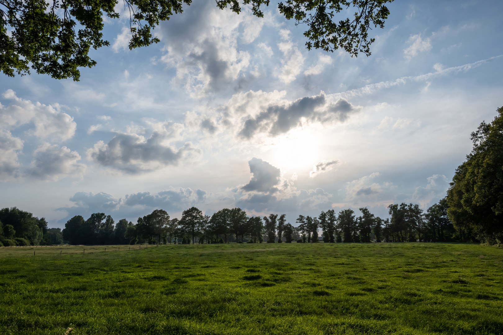 An image depicting the trail Winterswijkseweg and De Kuitenbijter Route and its surrounding area.