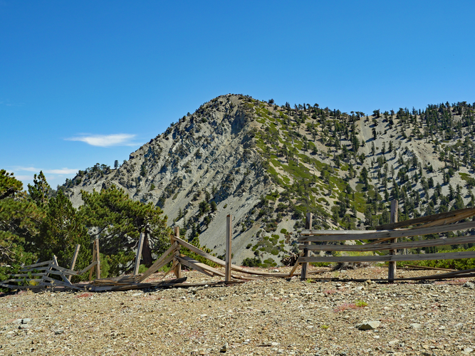 Telegraph Peak and Timber Mountain via Icehouse Canyon Trail