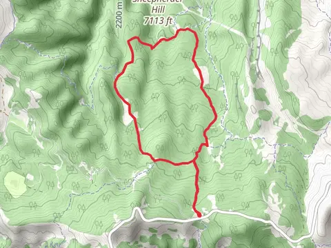 Sheepherder Hill Trail and Shram Creek Trail