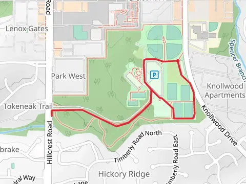The T Loop