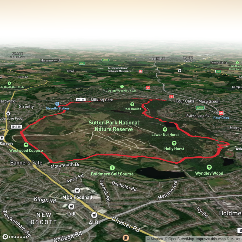 Sutton Park Big Loop