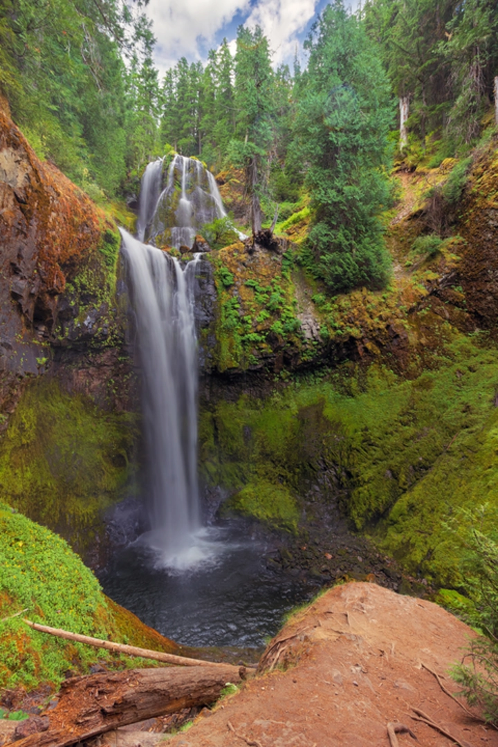 An image depicting the trail Lower Falls Creek Trail and its surrounding area.