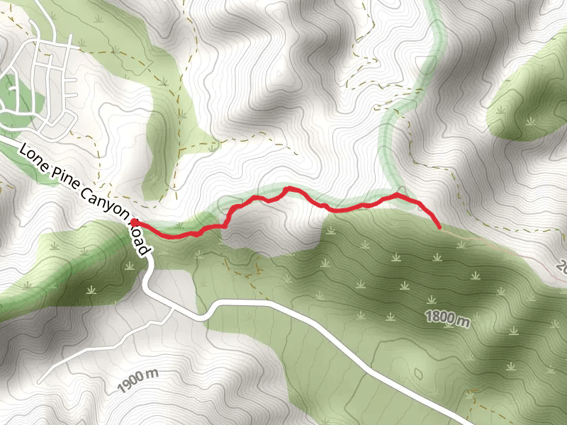 Lone Pine Canyon Road Walk