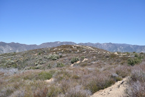 Gold Canyon Trail to Yerba Buena Ridge Summit