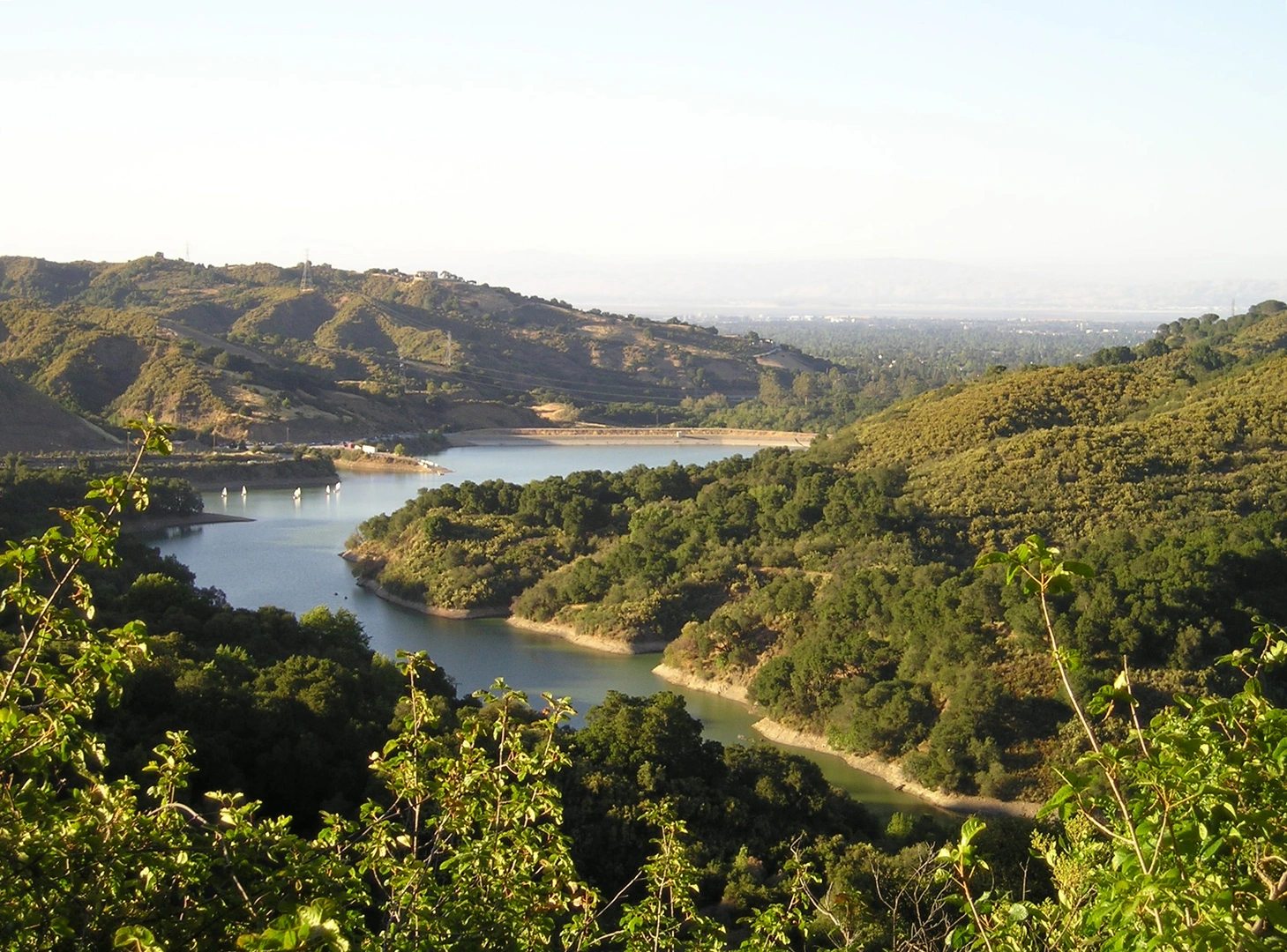 An image depicting the trail Maisie's Peak via Zinfandel Trail and its surrounding area.