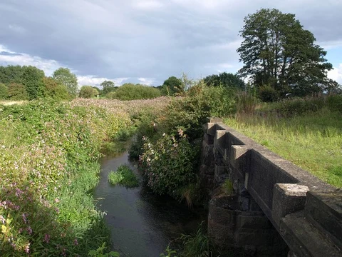 Malljur's Covert and Sinderland Brook Walk