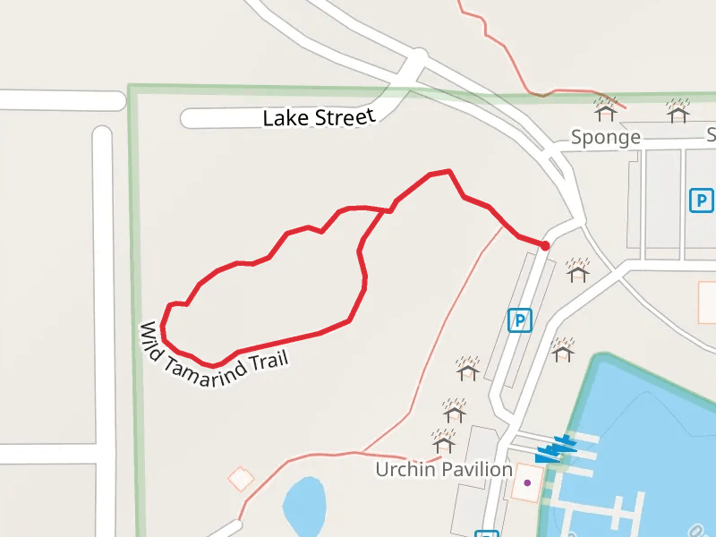 Wild Tamarind Loop Trail