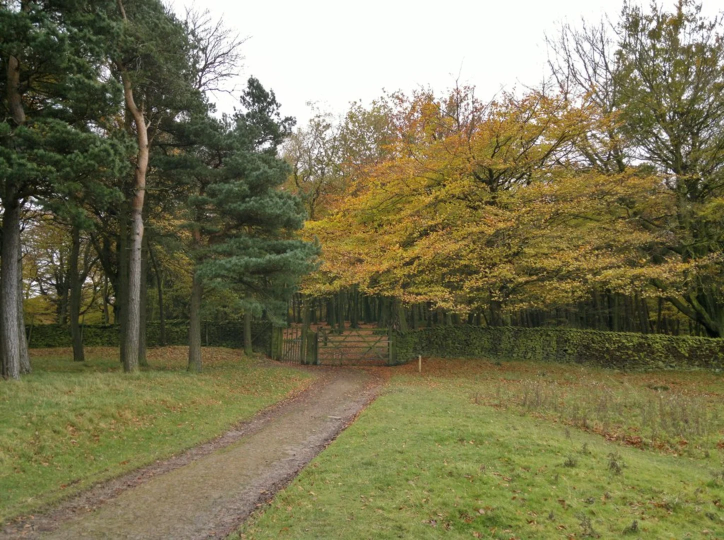 An image depicting the trail Mill Pond and Knightslow Wood Walk and its surrounding area.