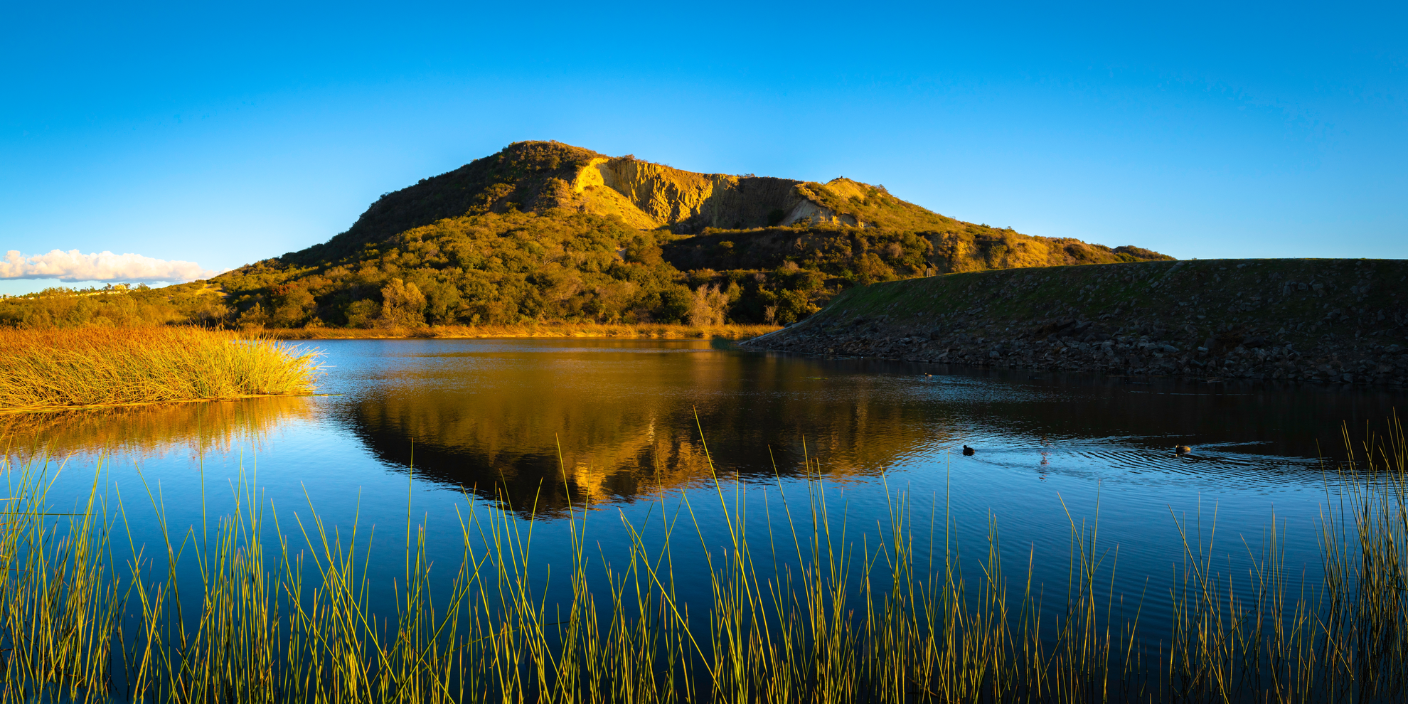 An image depicting the trail Calavera Lake Loop and its surrounding area.