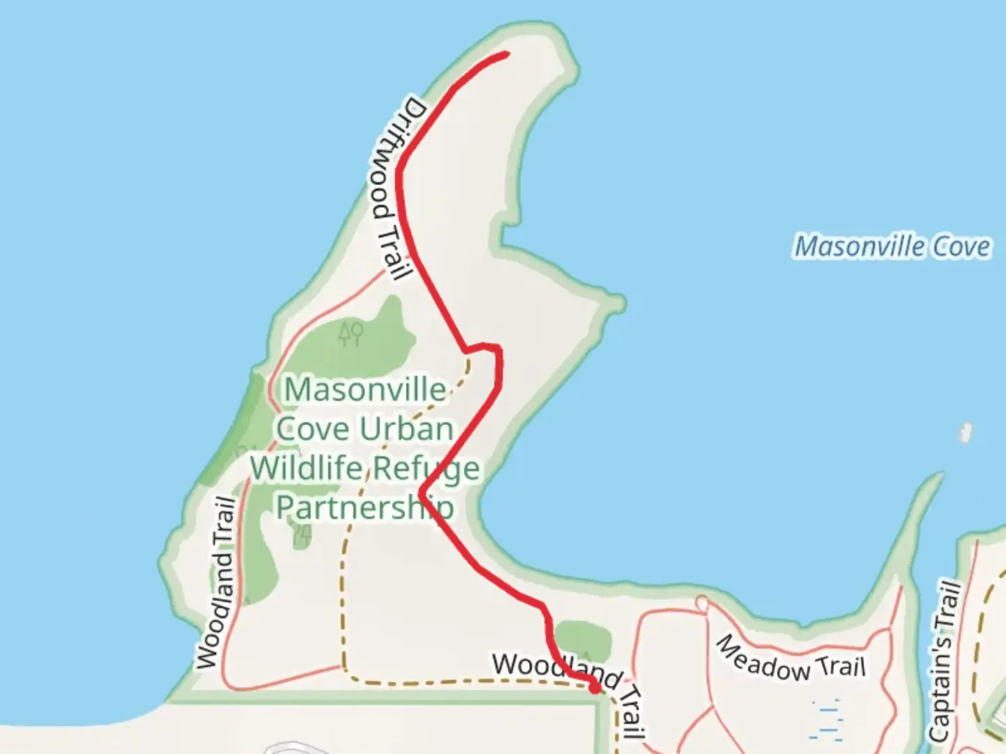 An image depicting the trail Driftwood Trail and its surrounding area.