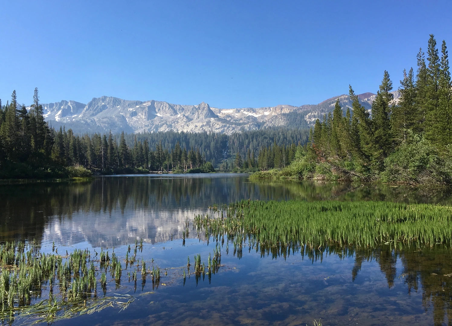 An image depicting the trail Lakes Basin Path and its surrounding area.
