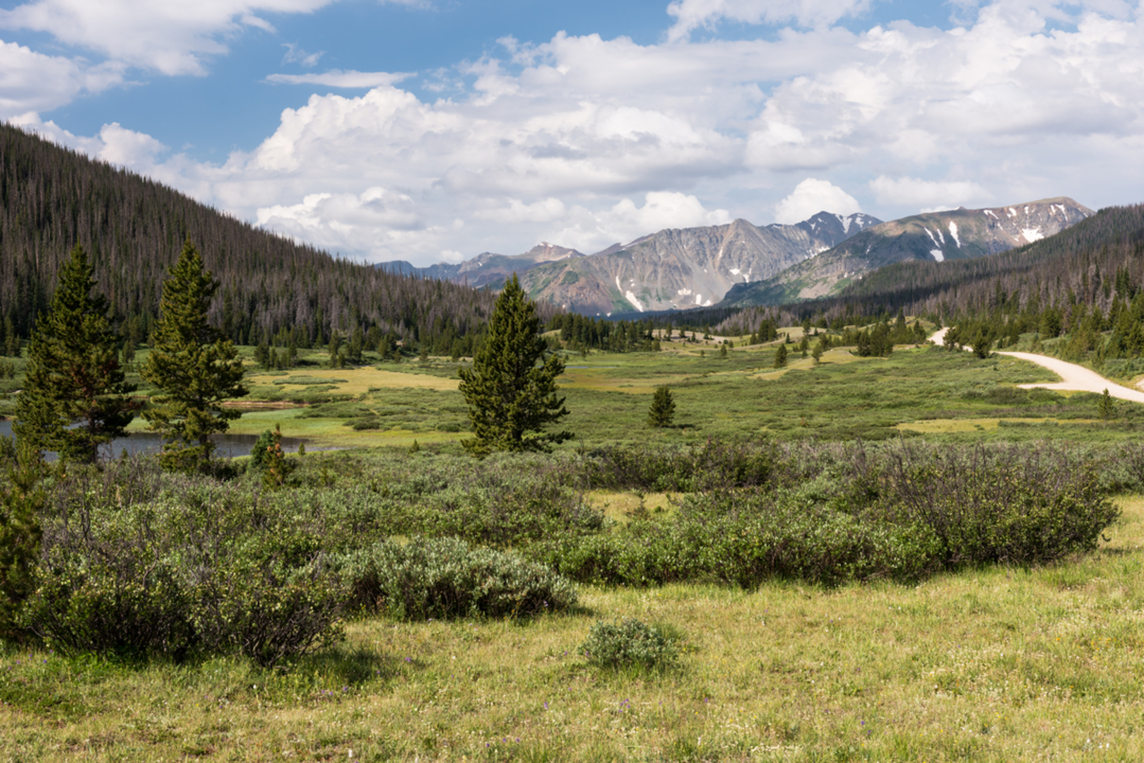An image depicting the trail Corral Creek Trail and its surrounding area.