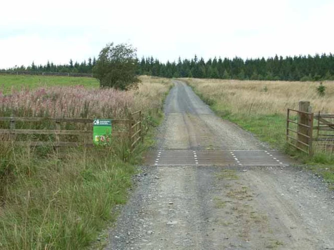 Watson's Pike Loop from Allendale