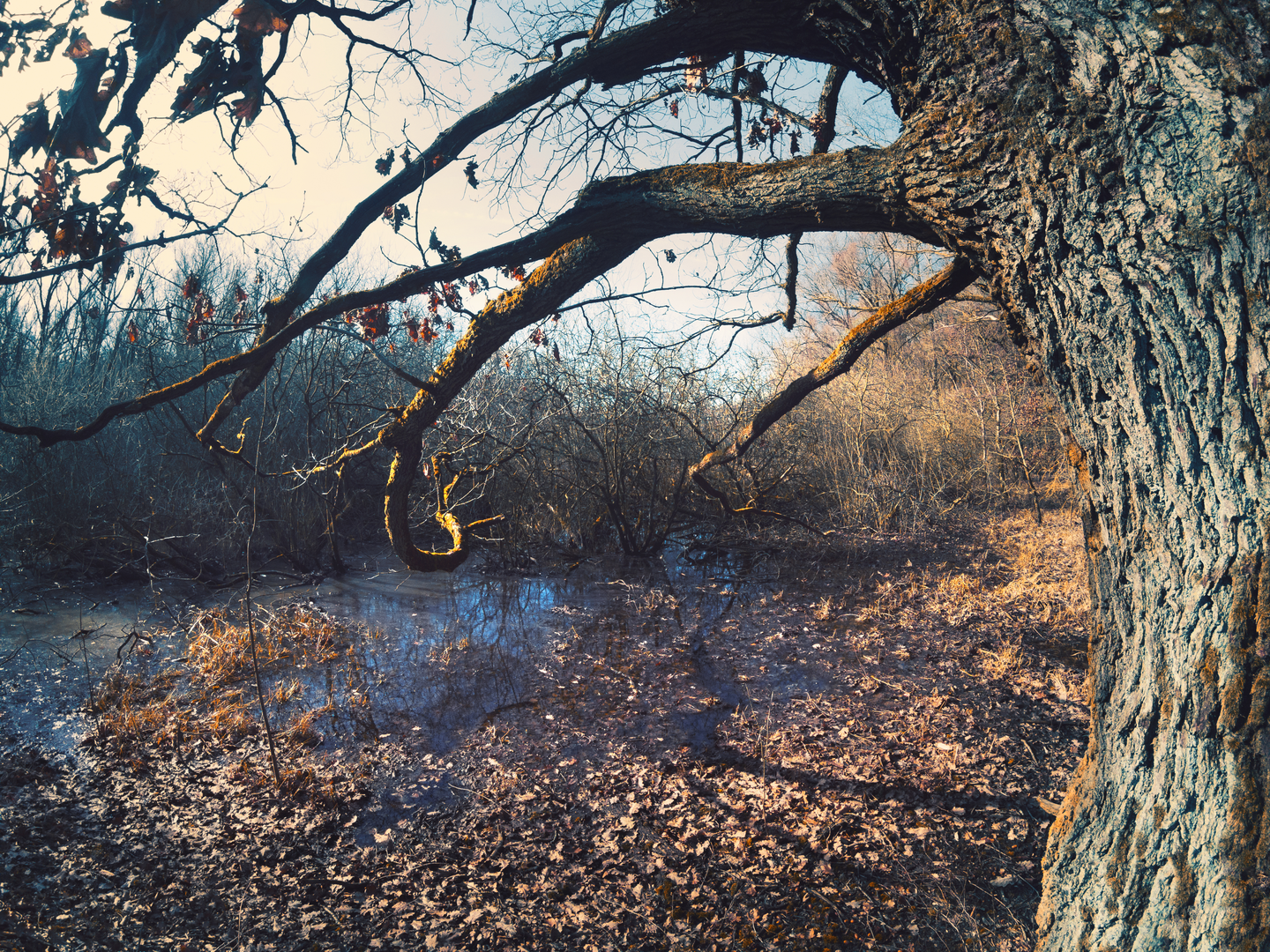 An image depicting the trail Kunigundenweg and its surrounding area.