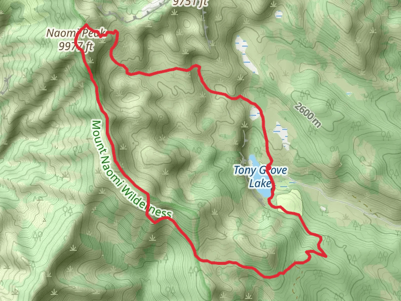 Smithfield Canyon Trail and Naomi Peak Trail