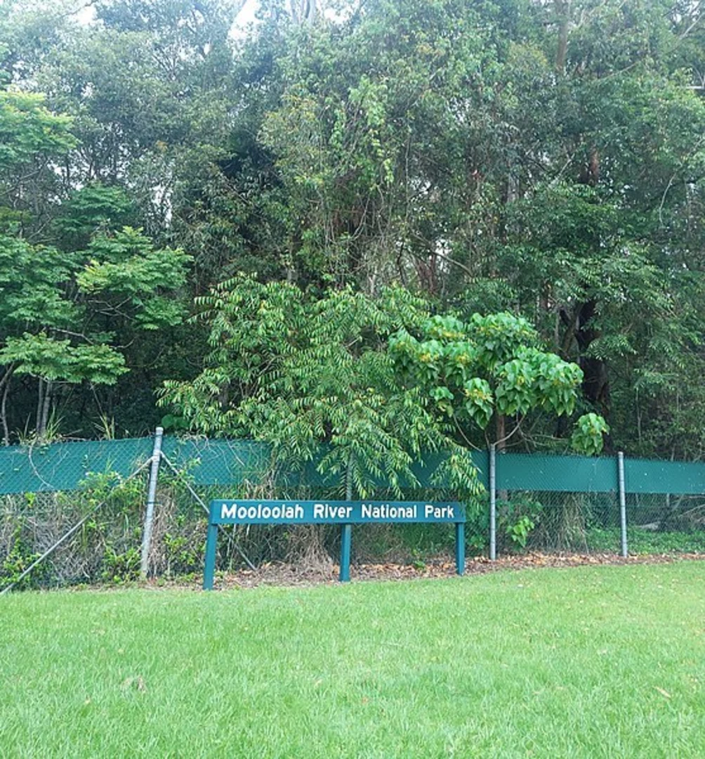An image depicting the trail Aemula Trail and its surrounding area.